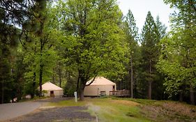 Yosemite Lakes Hillside Yurt 11